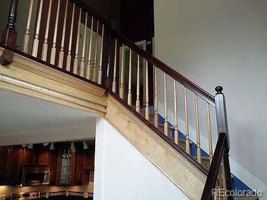 3375 Russell Gulch Road Evergreen, CO 80439 - Photo 9 of 23