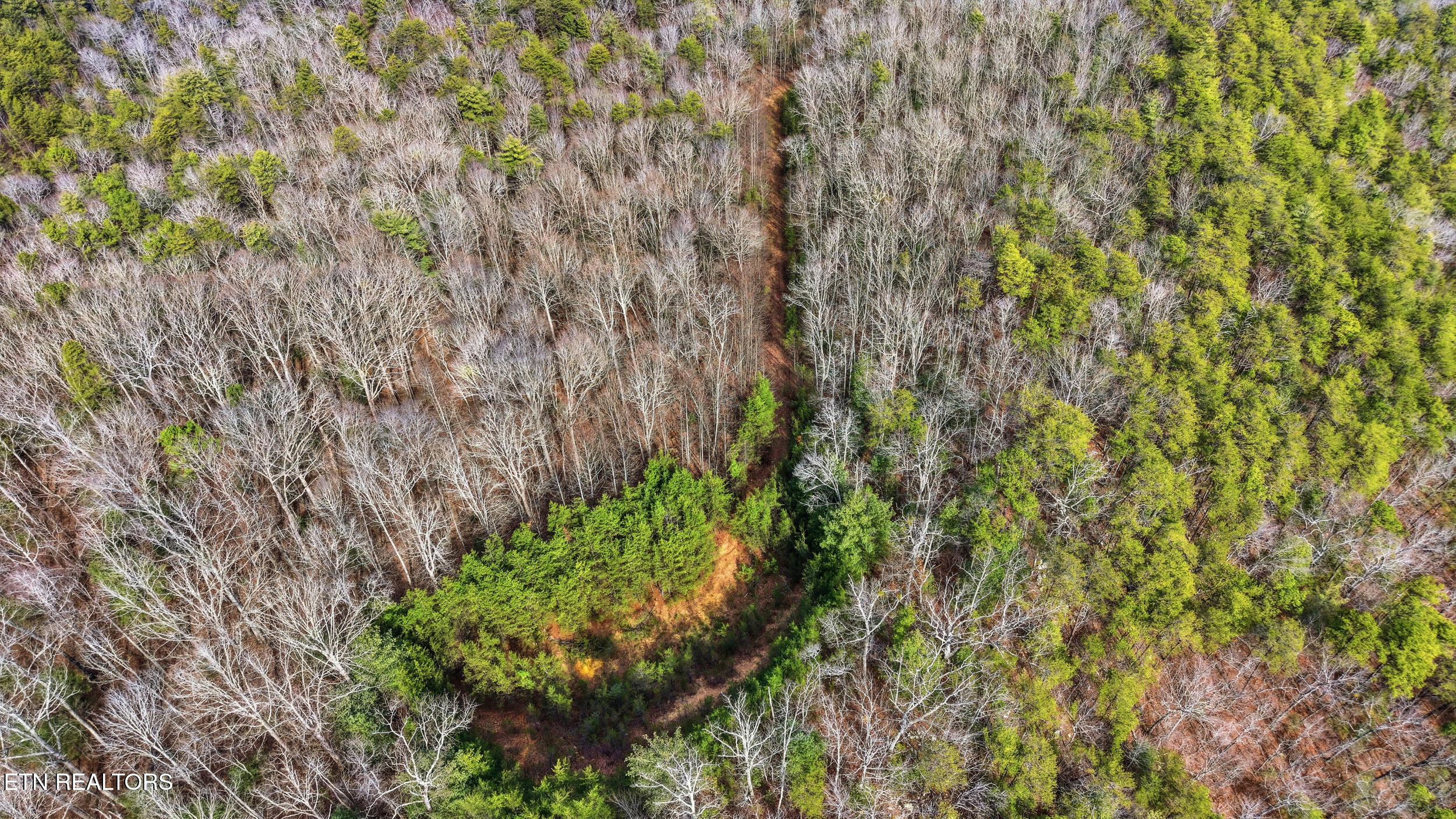 Creek Road Tellico Plains, TN 37385 - Photo 9 of 9 005_Ua80