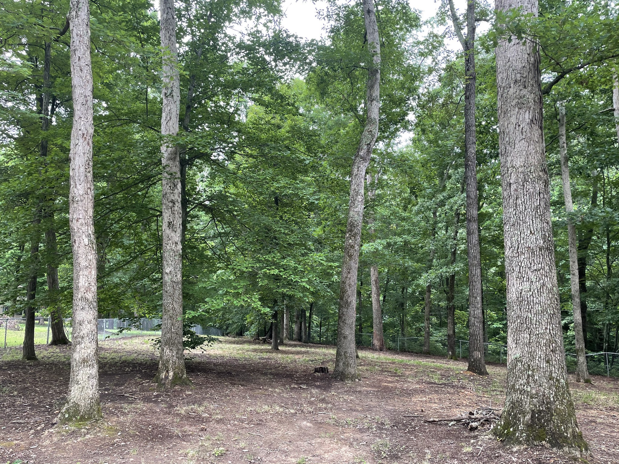3529 Awalt Road Tullahoma, TN 37388 - Photo 36 of 38 Gallery Image 36