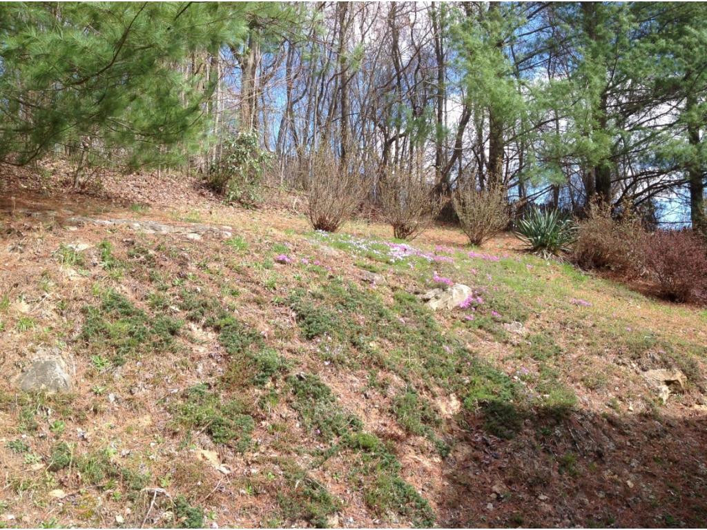 4543 Brushy Ridge Road Nora, VA 24272 - Photo 8 of 31 Photo 8