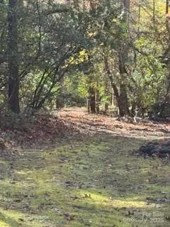 a view of water view with large trees