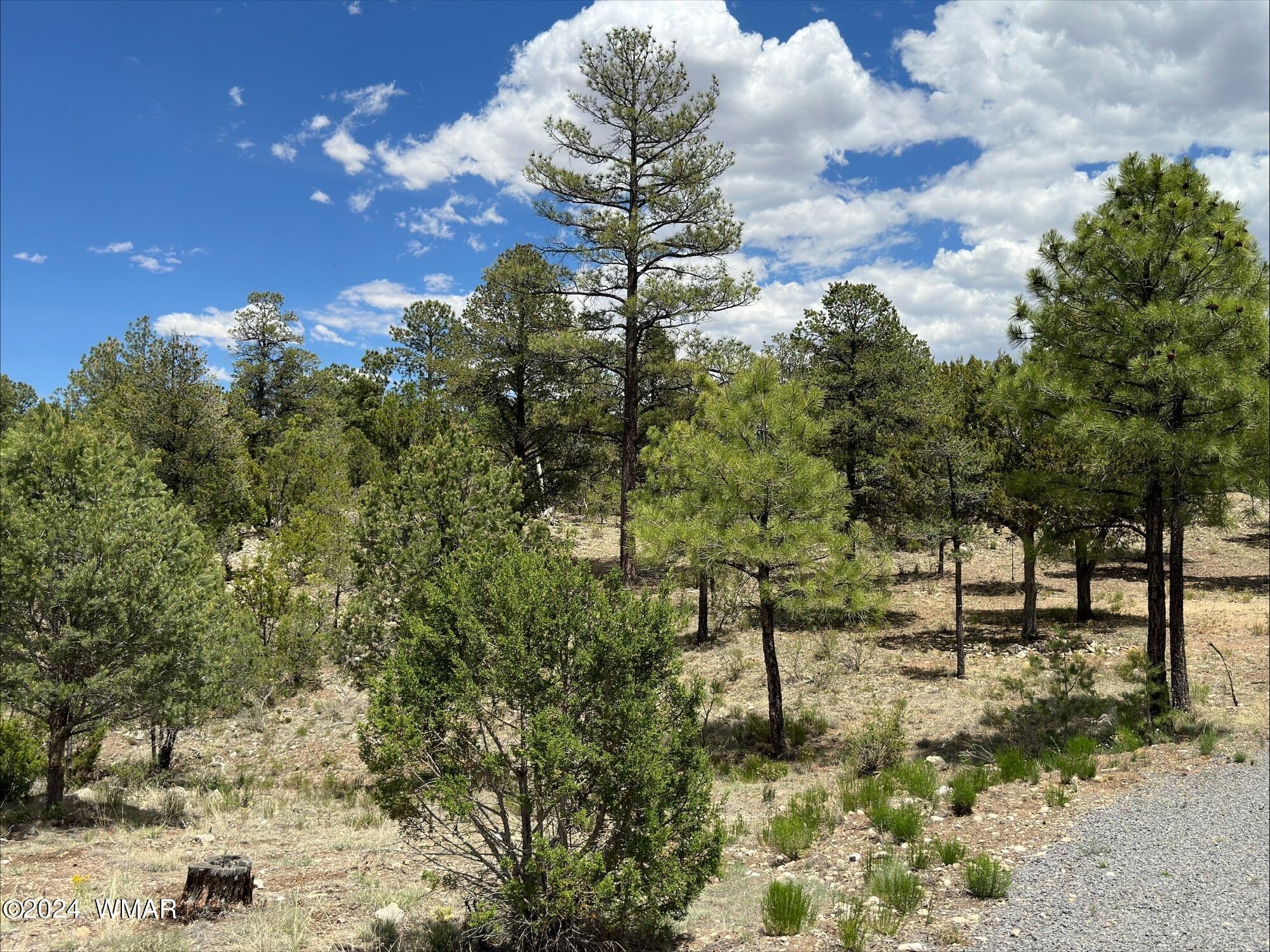 3337 Saw Mill Ridge Loop Heber, AZ 85928 - Photo 1 of 8 1
