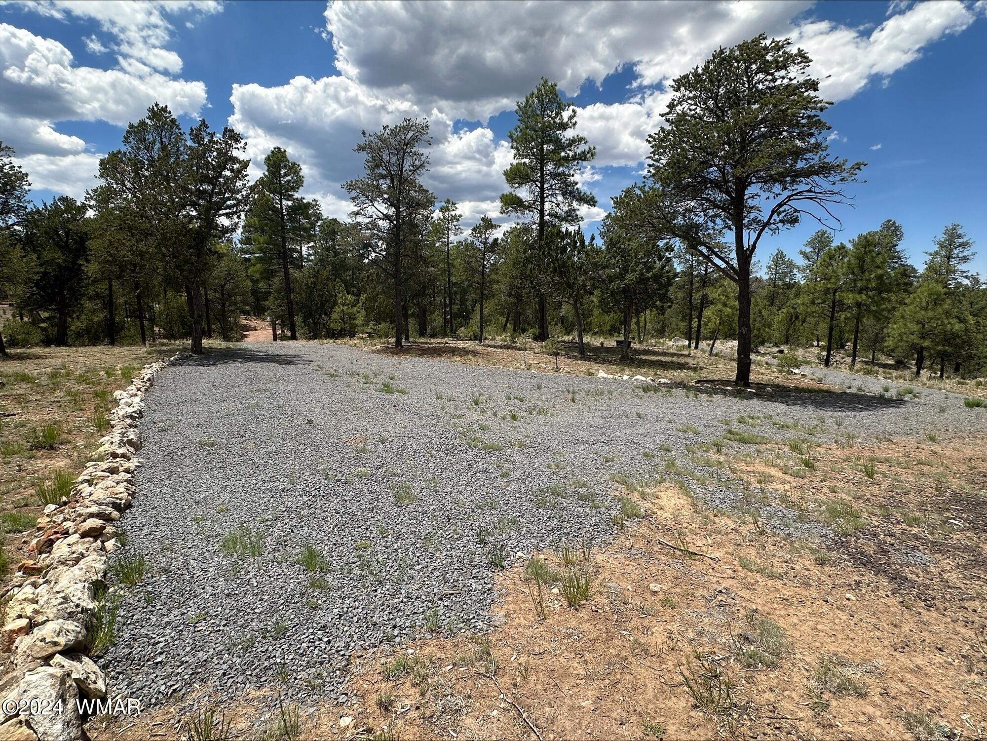 3337 Saw Mill Ridge Loop Heber, AZ 85928 - Photo 5 of 8 5