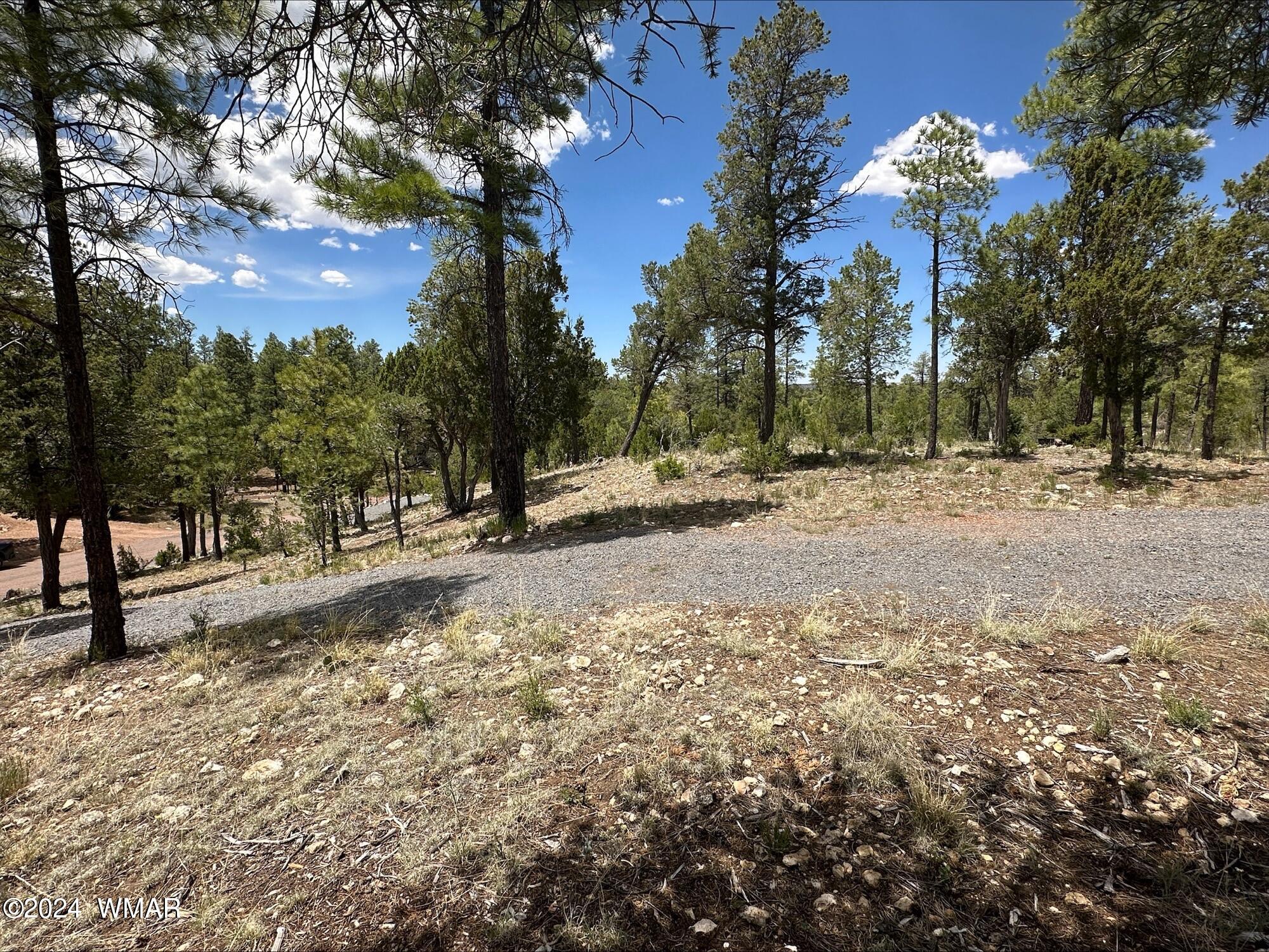 3337 Saw Mill Ridge Loop Heber, AZ 85928 - Photo 8 of 8 8