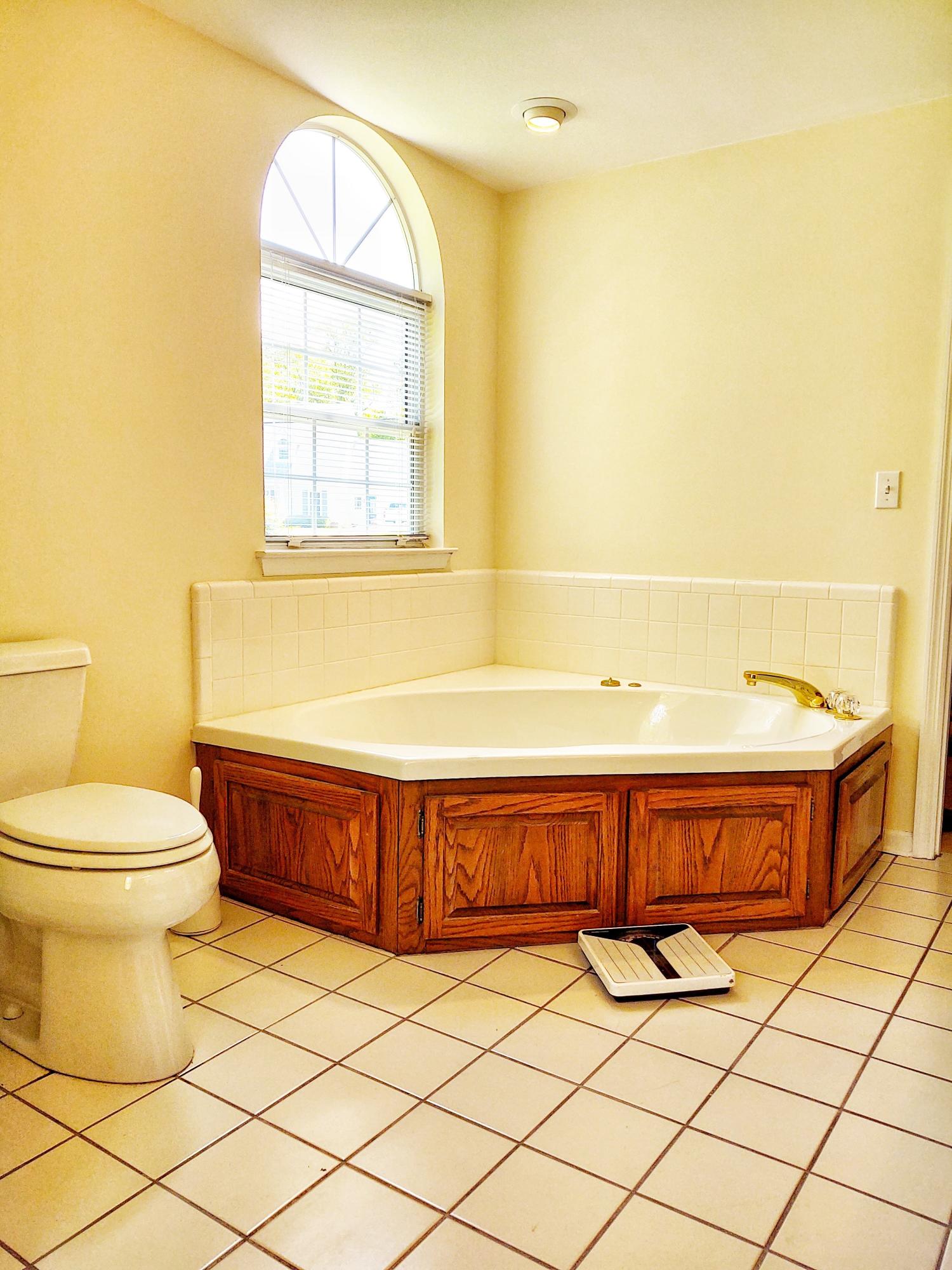 45 Dusty Ridge Trail Ringgold, GA 30736 - Photo 31 of 33 jetted tub