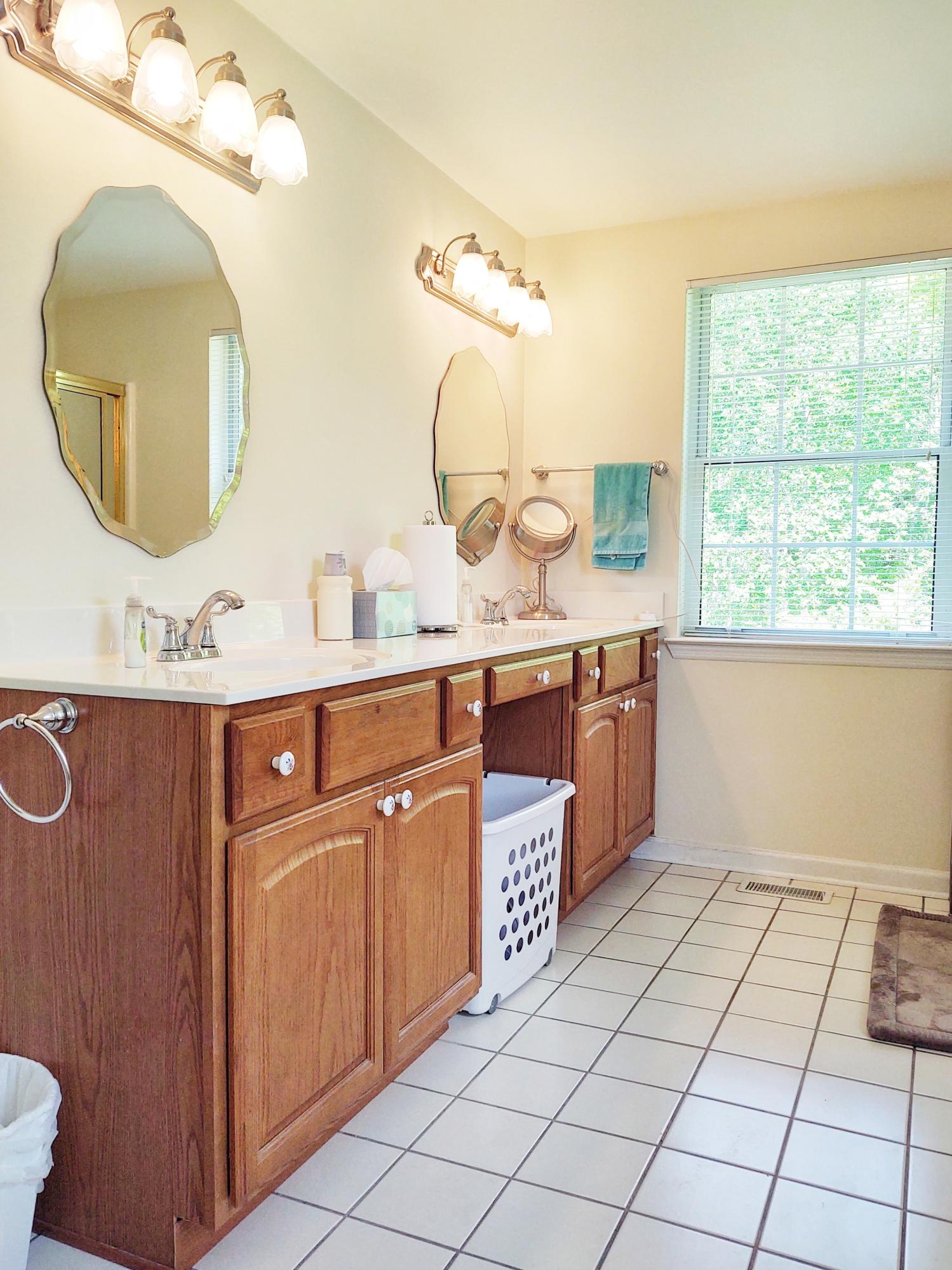 45 Dusty Ridge Trail Ringgold, GA 30736 - Photo 32 of 33 master vanity