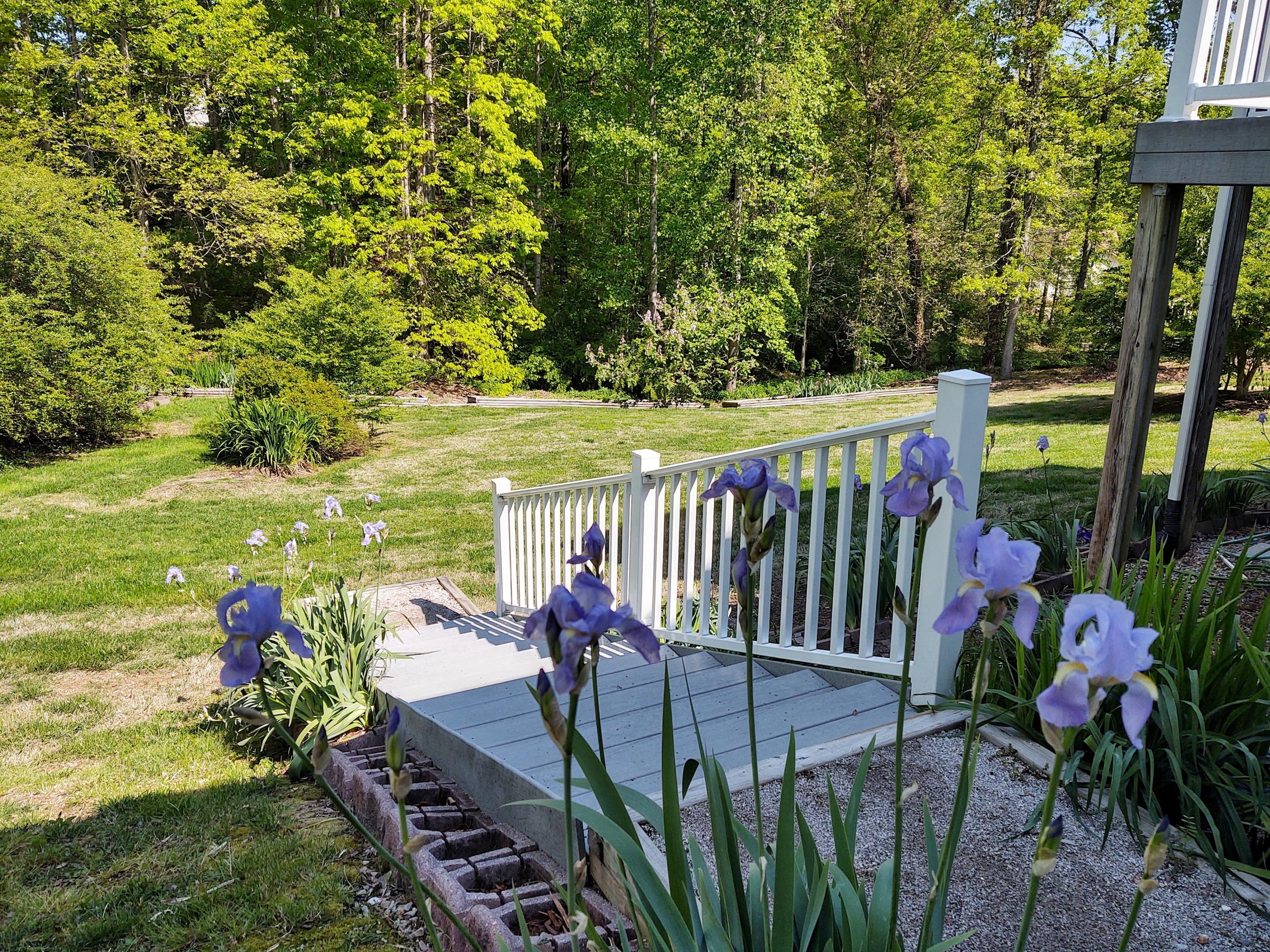 45 Dusty Ridge Trail Ringgold, GA 30736 - Photo 7 of 33 backyard stairs