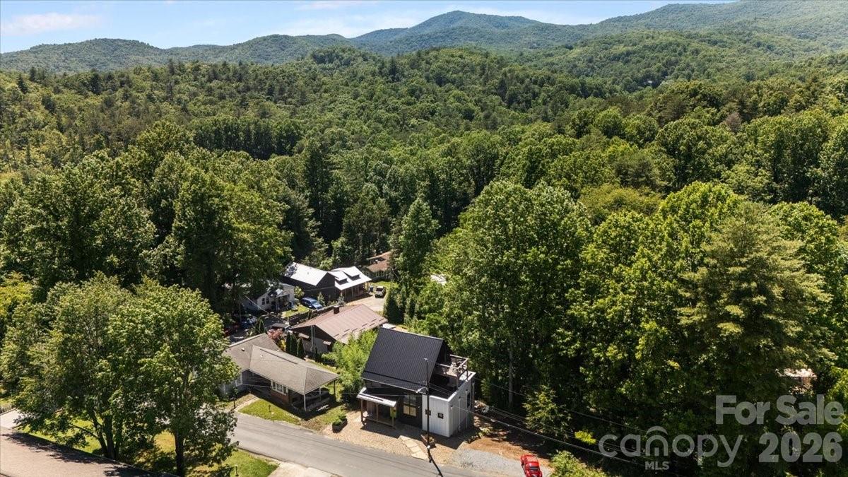 224 Rosenwald Lane Brevard, NC 28712 - Photo 39 of 42