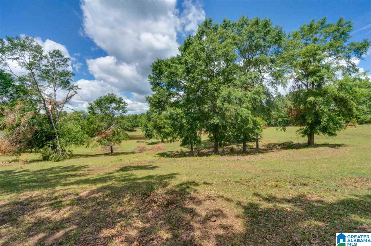 349 County Road 265 Clanton, AL 35046 - Photo 50 of 50