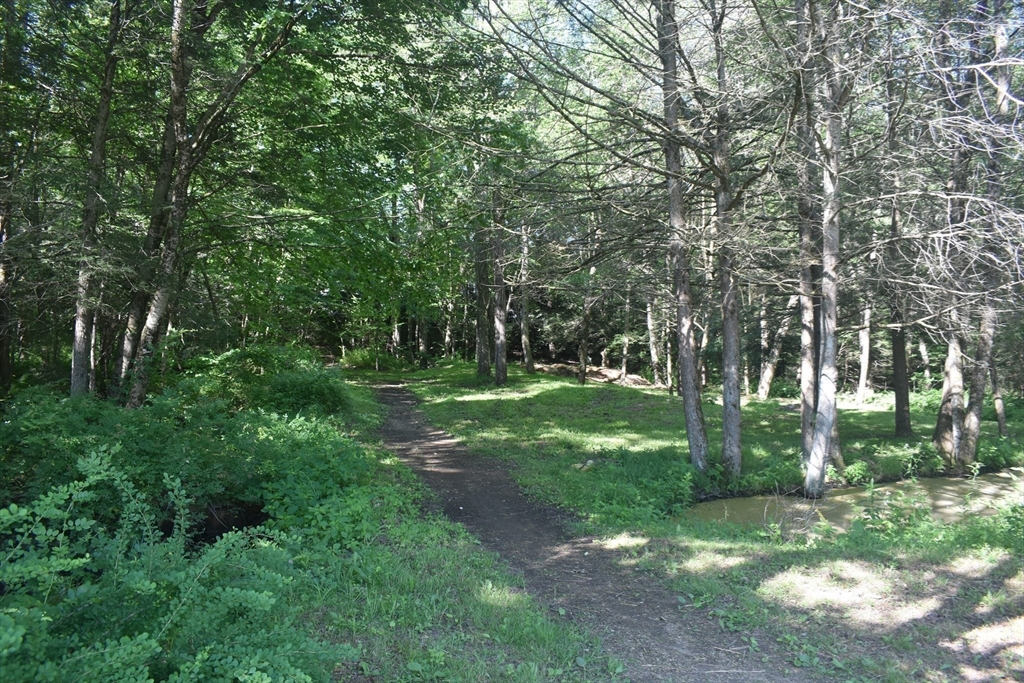 111 Northwest Road Spencer, MA 01562 - Photo 25 of 34 a view of a tree in a yard