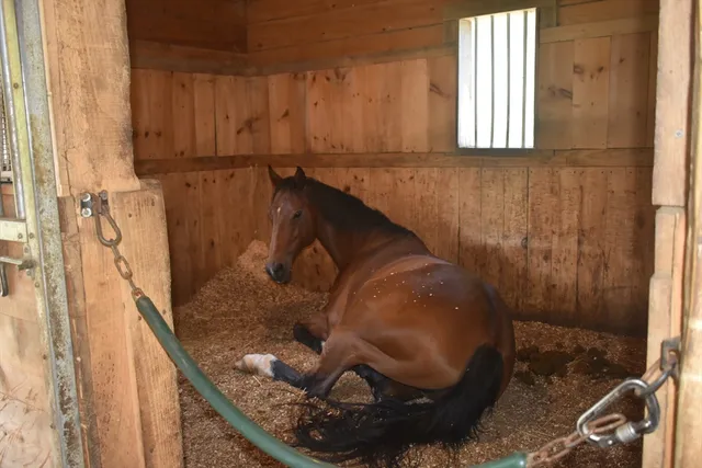 $829,900 | 111 Northwest Road, Spencer, MA 01562