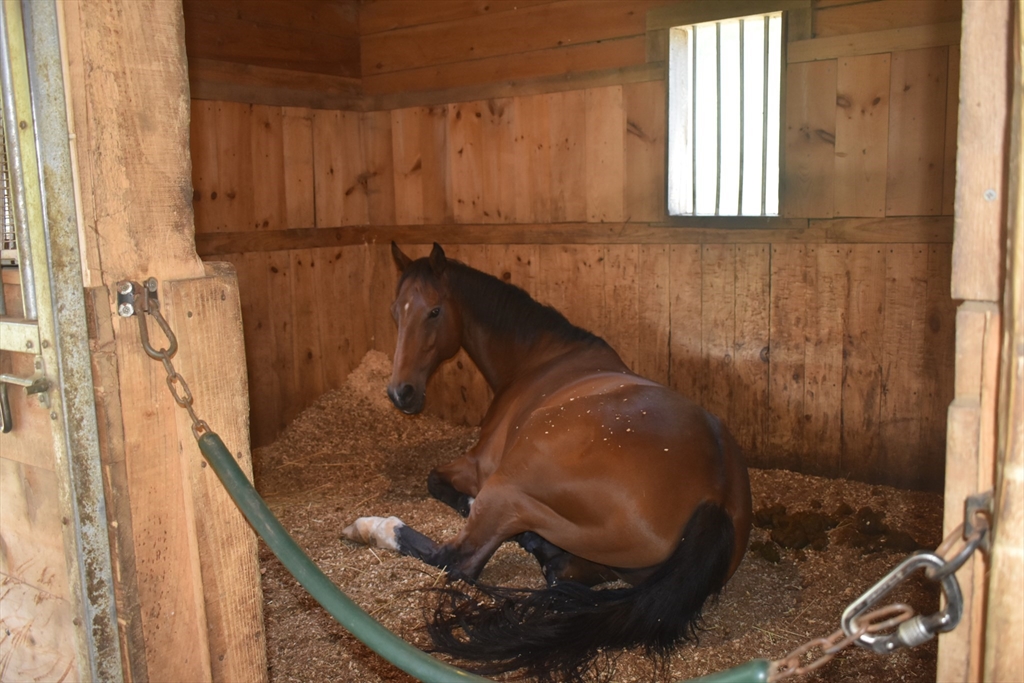 111 Northwest Road Spencer, MA 01562 - Photo 34 of 34 a bathroom with a sink and a mirror