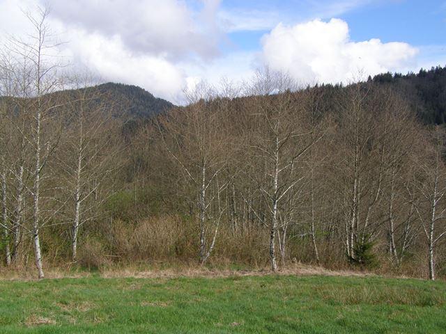 23 Skyview Road Tillamook, OR 97141 - Photo 2 of 41 P3180272