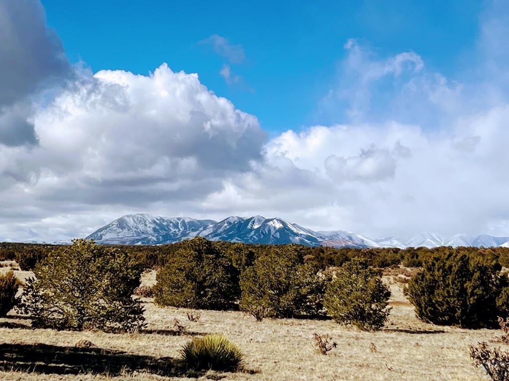 0 Twin Lakes Road Walsenburg, CO 81089 - Photo 1 of 13