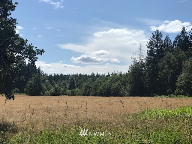 000 Bones Road Toledo, WA 98591 - Photo 1 of 6