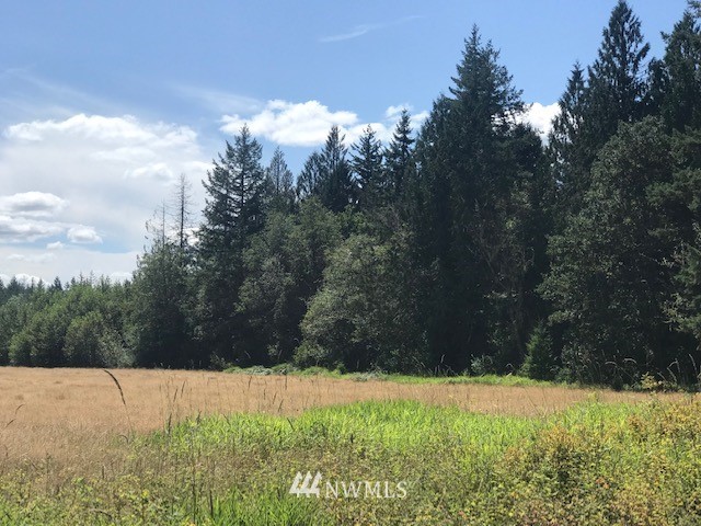 000 Bones Road Toledo, WA 98591 - Photo 2 of 6