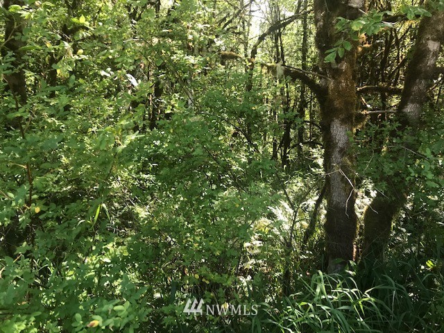 000 Bones Road Toledo, WA 98591 - Photo 6 of 6