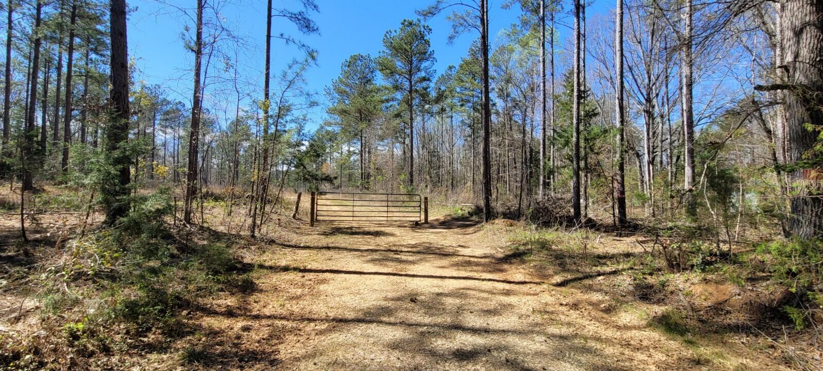 0 Sam Hodges Road Hodges, SC 29653 - Photo 8 of 10