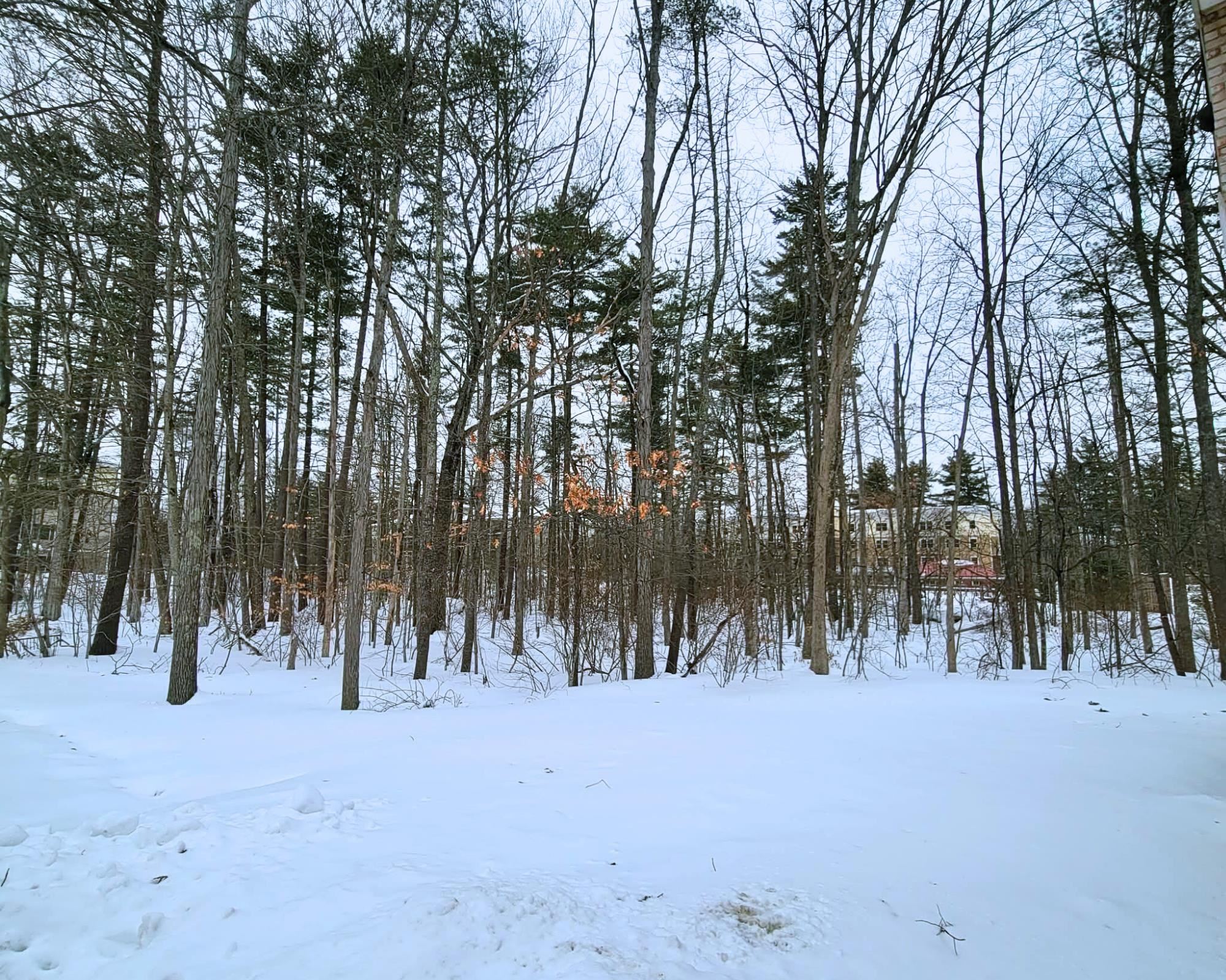 5 Brookside Drive, Unit 9 Exeter, NH 03833 - Photo 19 of 21