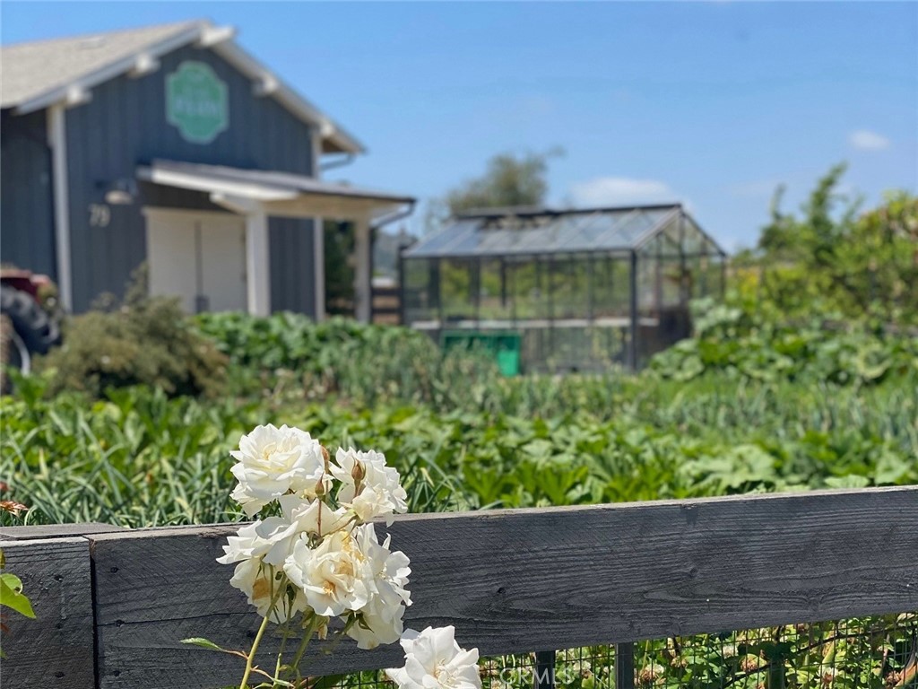 26 Yerra Street Rancho Mission Viejo, CA 92694 - Photo 69 of 75 front view of a house with a yard