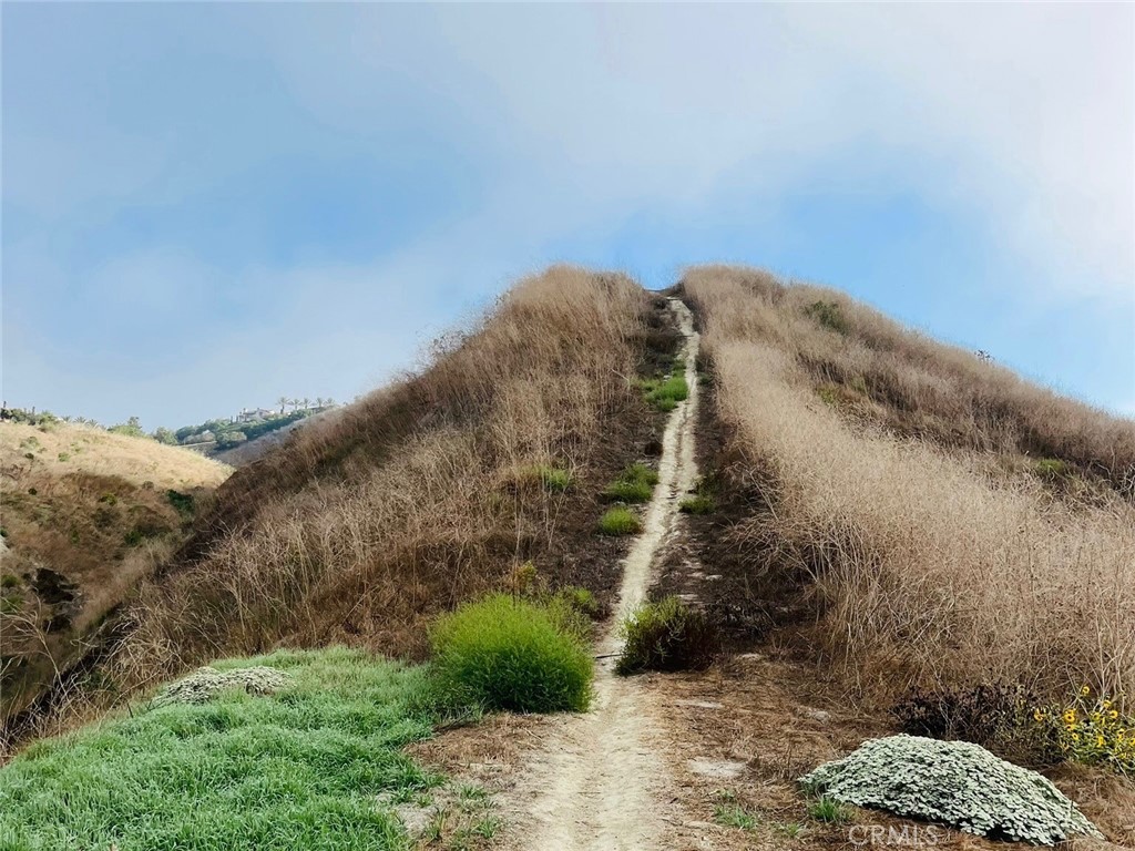 26 Yerra Street Rancho Mission Viejo, CA 92694 - Photo 71 of 75 Hillside trail offering direct access to scenic outdoor exploration.
