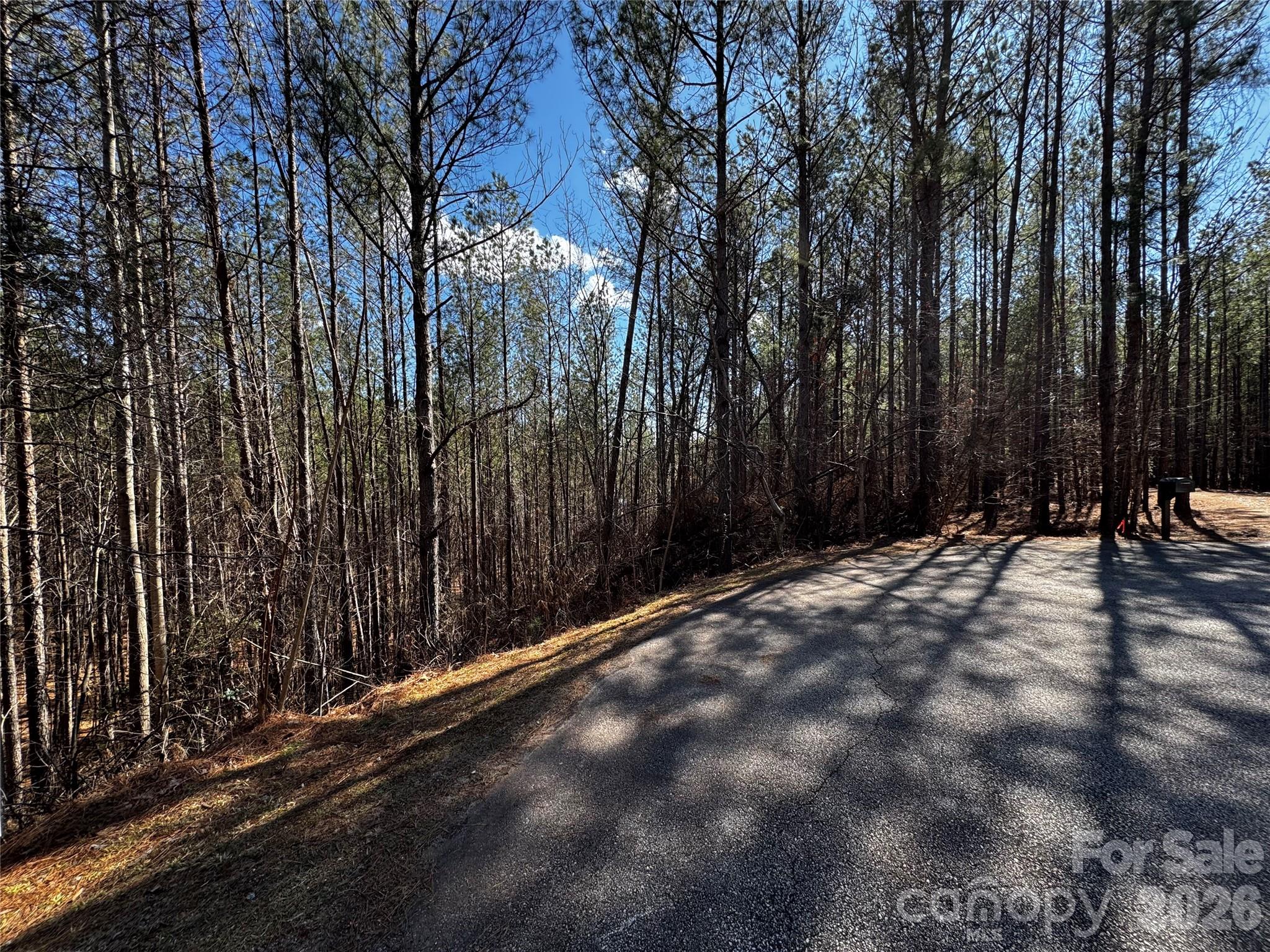 5 Geebees Way Mill Spring Mill Spring, NC 28756 - Photo 12 of 14 a view of a street with trees in front of it
