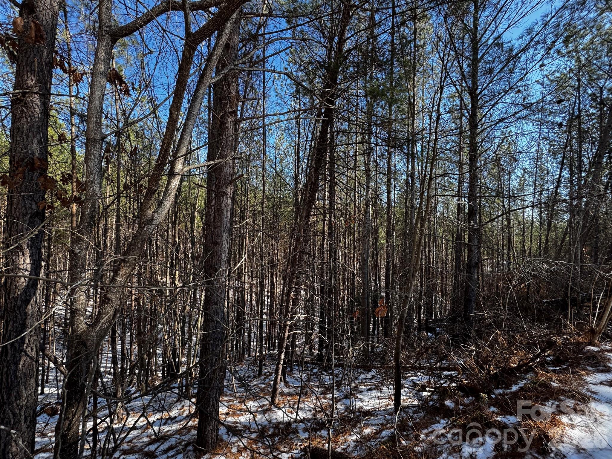 5 Geebees Way Mill Spring Mill Spring, NC 28756 - Photo 2 of 5