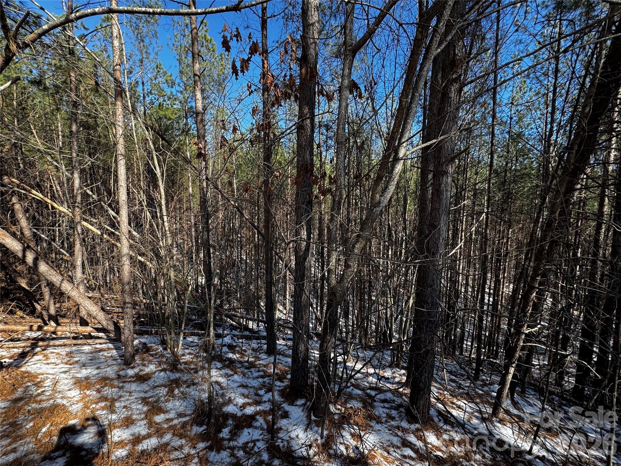 5 Geebees Way Mill Spring Mill Spring, NC 28756 - Photo 3 of 5