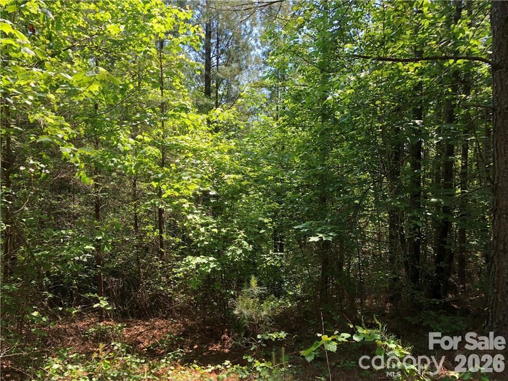 5 Geebees Way Mill Spring Mill Spring, NC 28756 - Photo 4 of 5