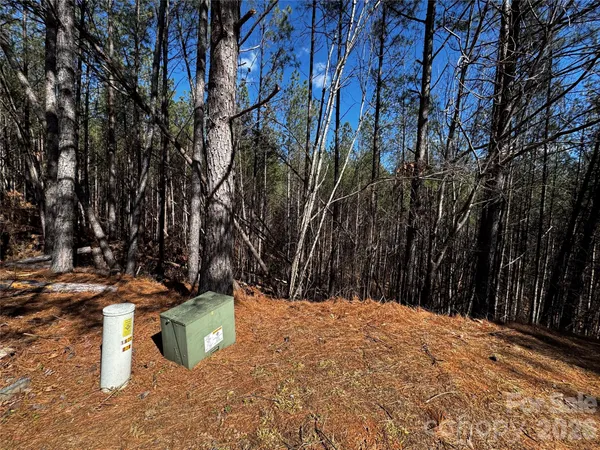 a view of house with a yard