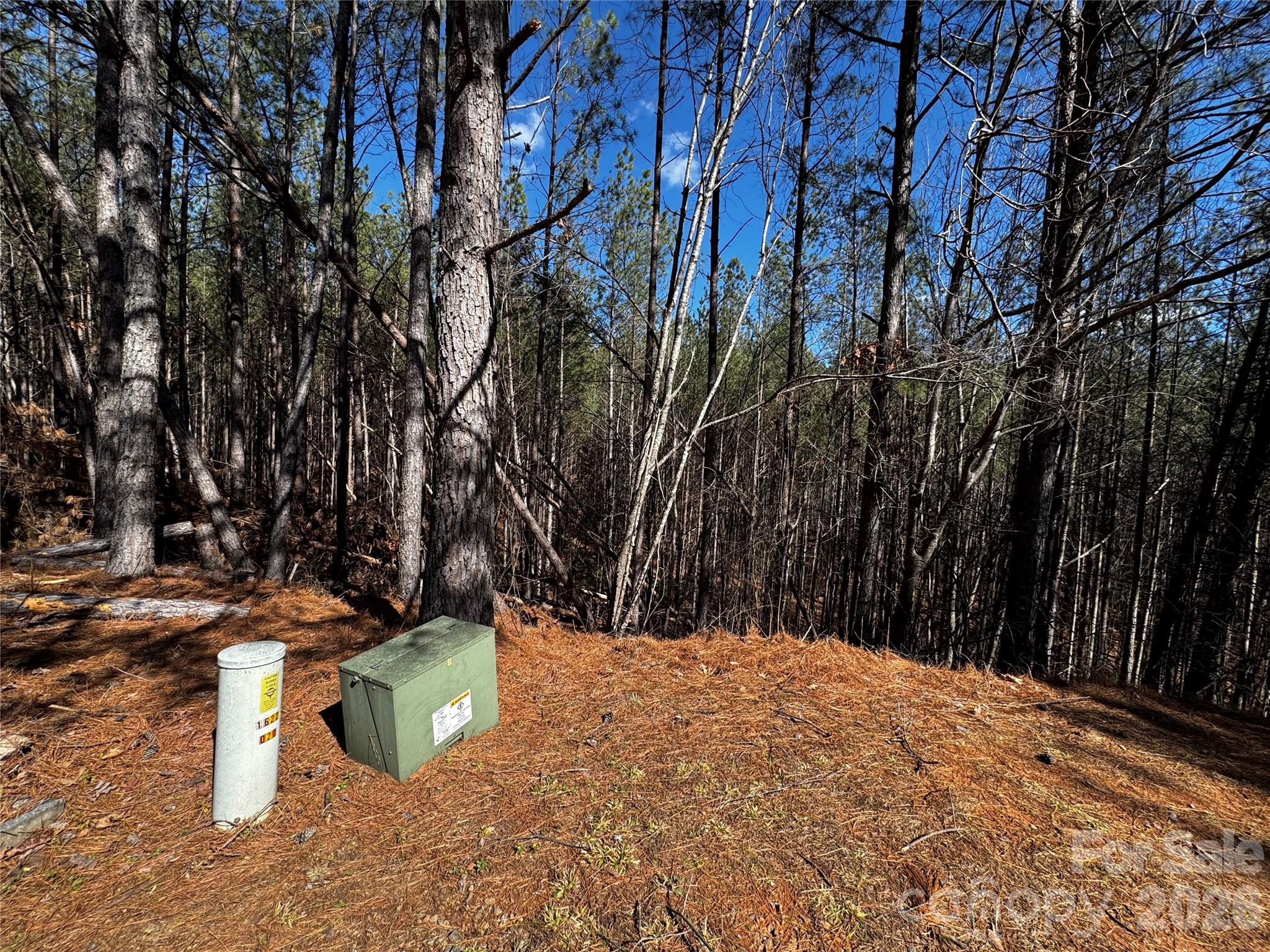 5 Geebees Way Mill Spring Mill Spring, NC 28756 - Photo 6 of 14 a view of a outdoor space