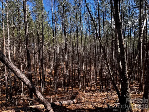 a view of outdoor space with trees