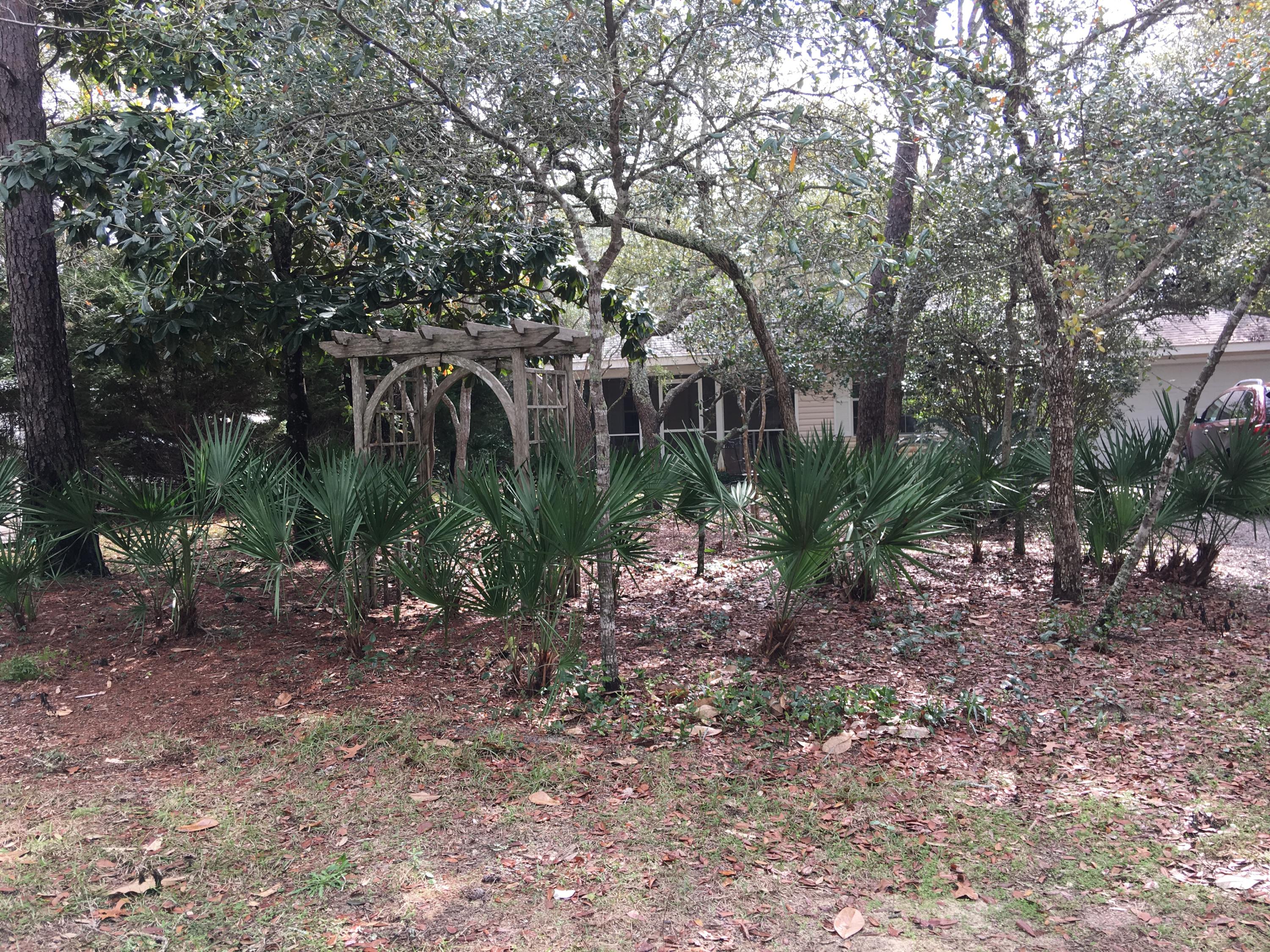 274 North Bishop Road Santa Rosa Beach, FL 32459 - Photo 1 of 17 a view of a yard with plants and trees