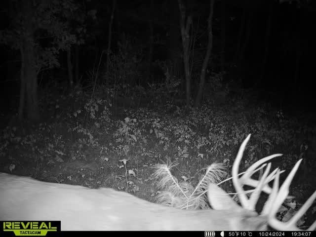 37.5-ac Freedom Wisconsin Dells, WI 53965 - Photo 12 of 42