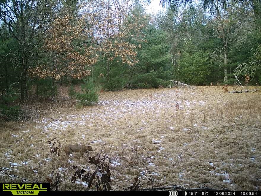 37.5-ac Freedom Wisconsin Dells, WI 53965 - Photo 14 of 42