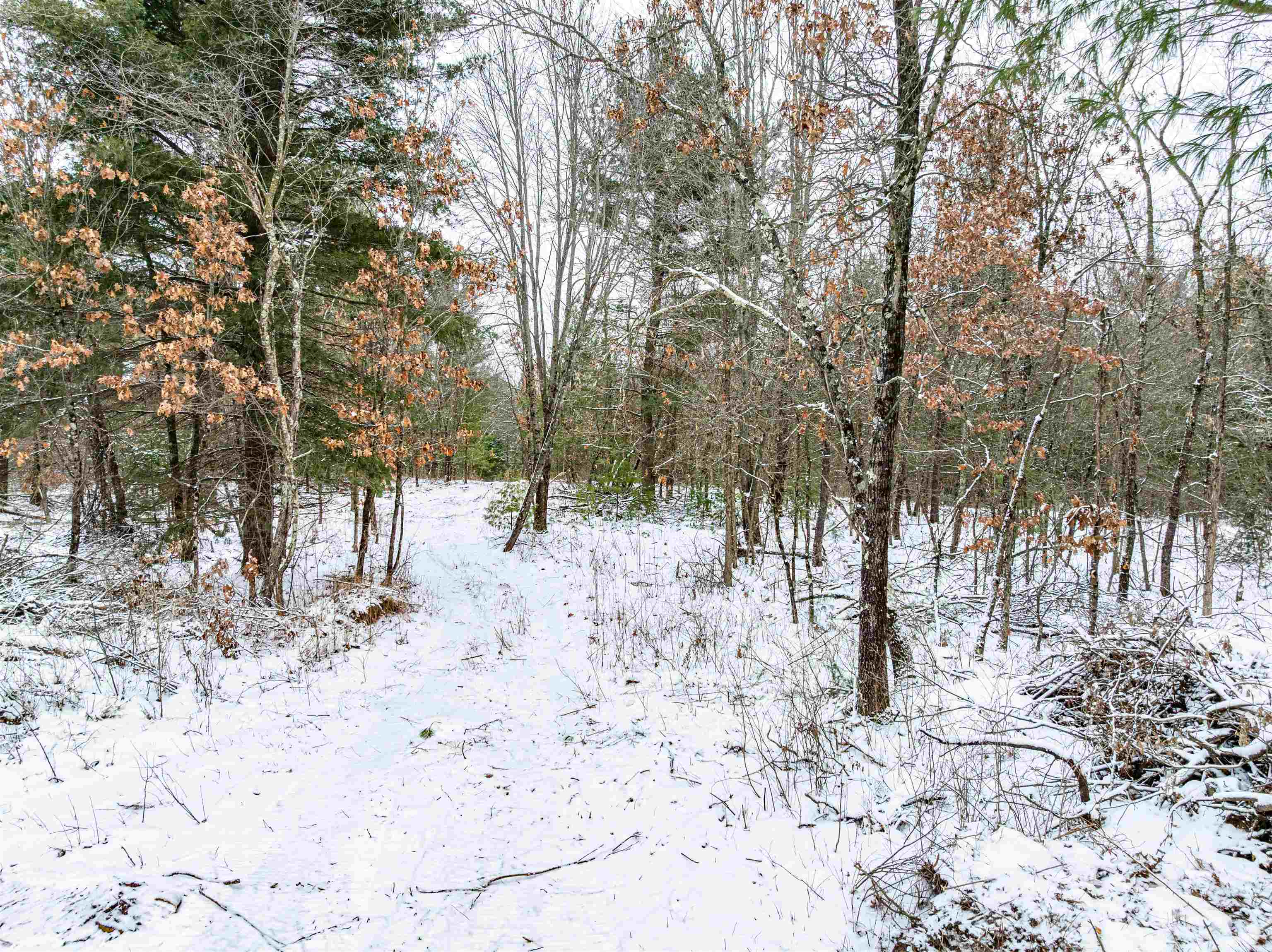 37.5-ac Freedom Wisconsin Dells, WI 53965 - Photo 15 of 42