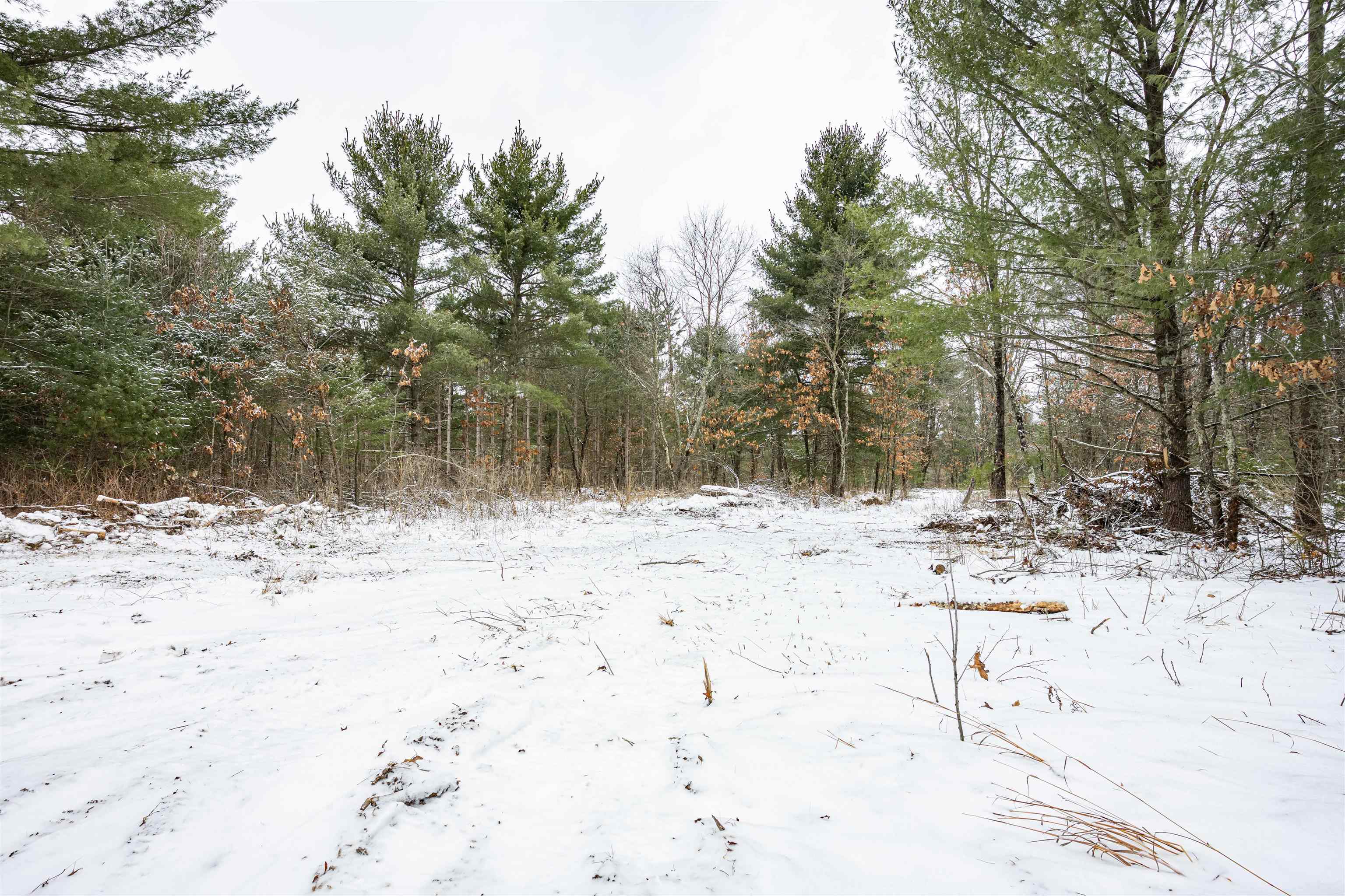 37.5-ac Freedom Wisconsin Dells, WI 53965 - Photo 18 of 42