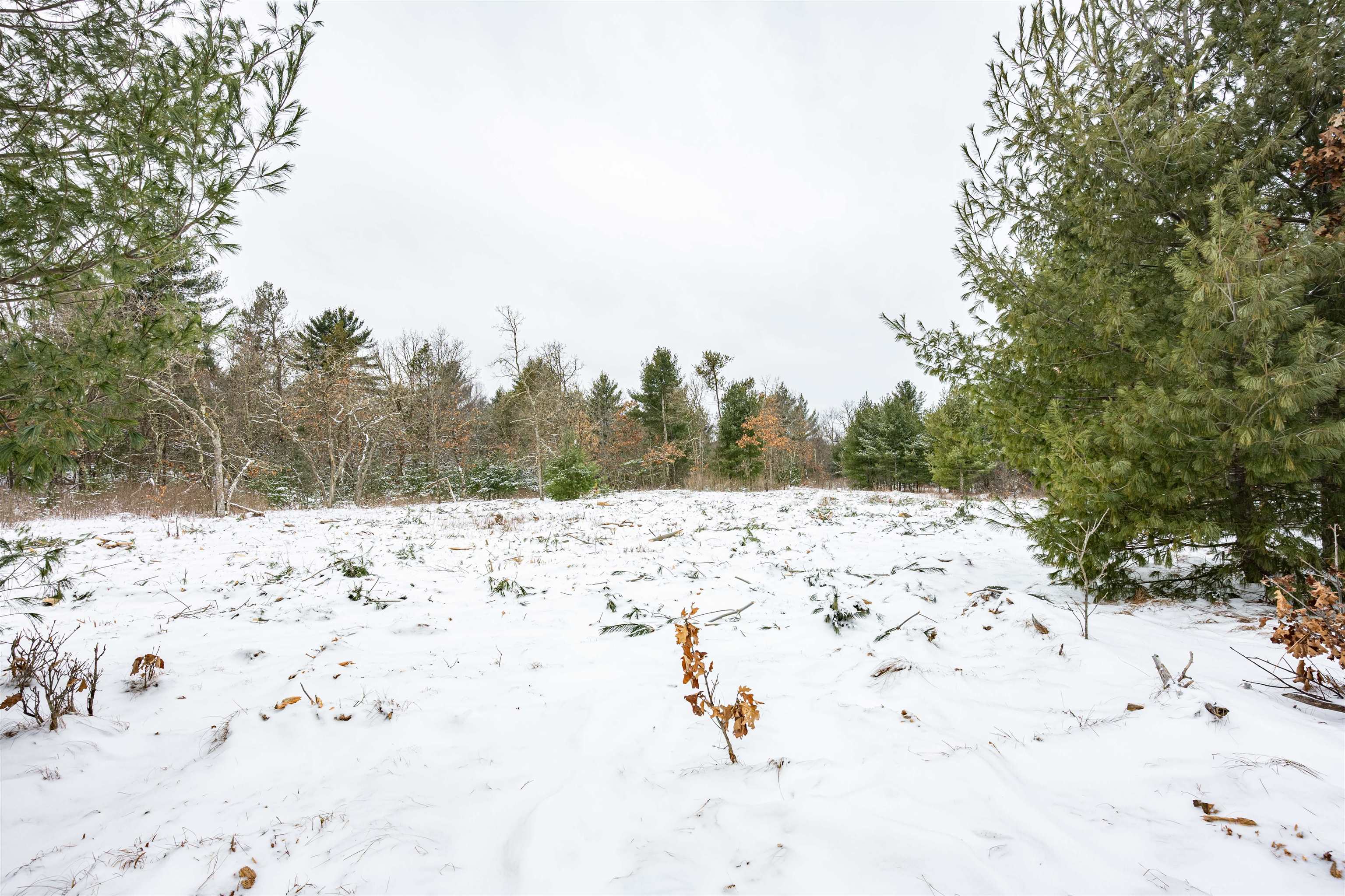 37.5-ac Freedom Wisconsin Dells, WI 53965 - Photo 20 of 42