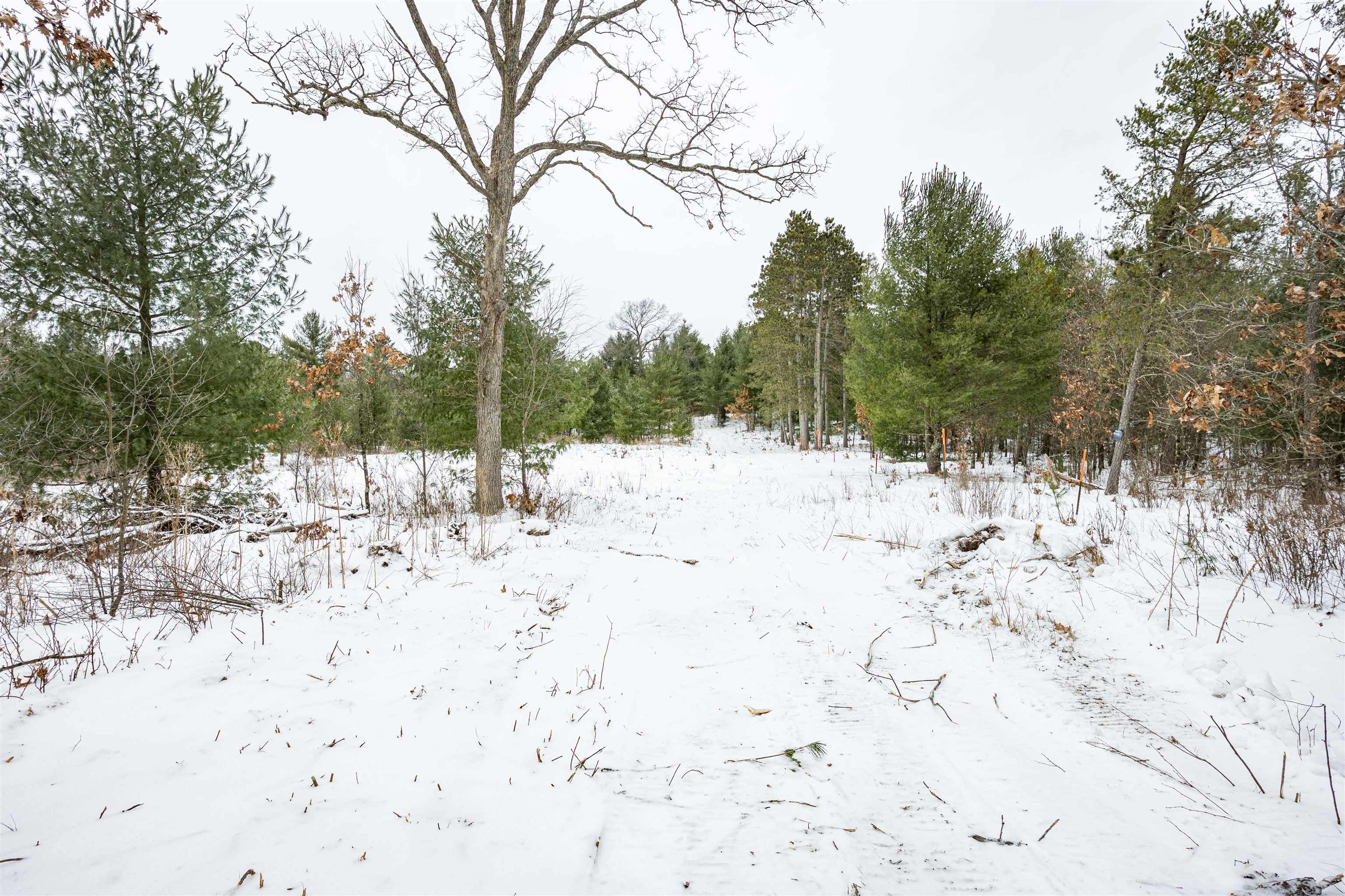 37.5-ac Freedom Wisconsin Dells, WI 53965 - Photo 23 of 42