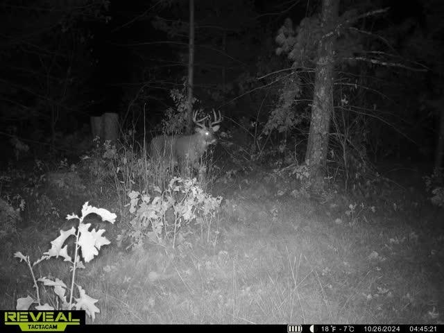 37.5-ac Freedom Wisconsin Dells, WI 53965 - Photo 36 of 42