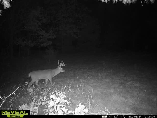 37.5-ac Freedom Wisconsin Dells, WI 53965 - Photo 9 of 42