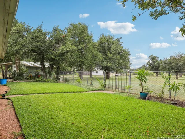 a view of a garden with plants and a bench