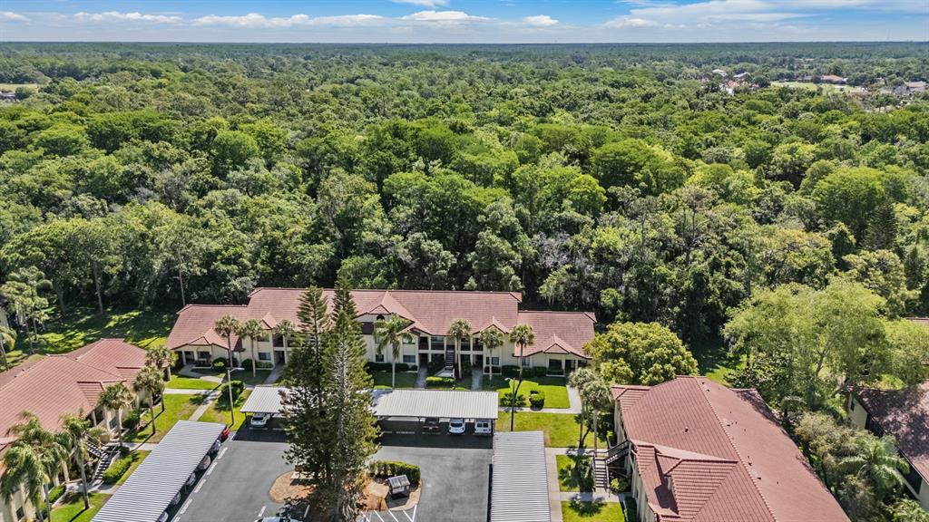 1801 East Lake Road South, Unit 6J Palm Harbor, FL 34685 - Photo 2 of 45