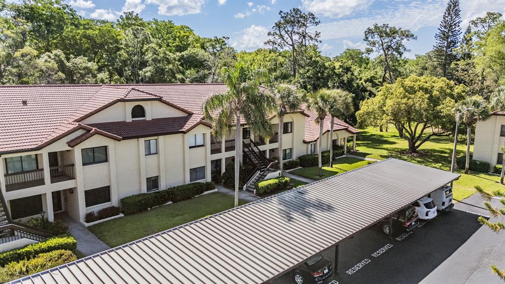 1801 East Lake Road South, Unit 6J Palm Harbor, FL 34685 - Photo 32 of 45