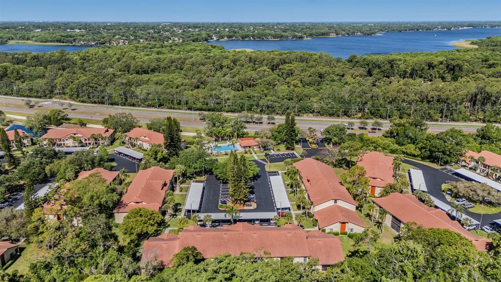 1801 East Lake Road South, Unit 6J Palm Harbor, FL 34685 - Photo 36 of 45