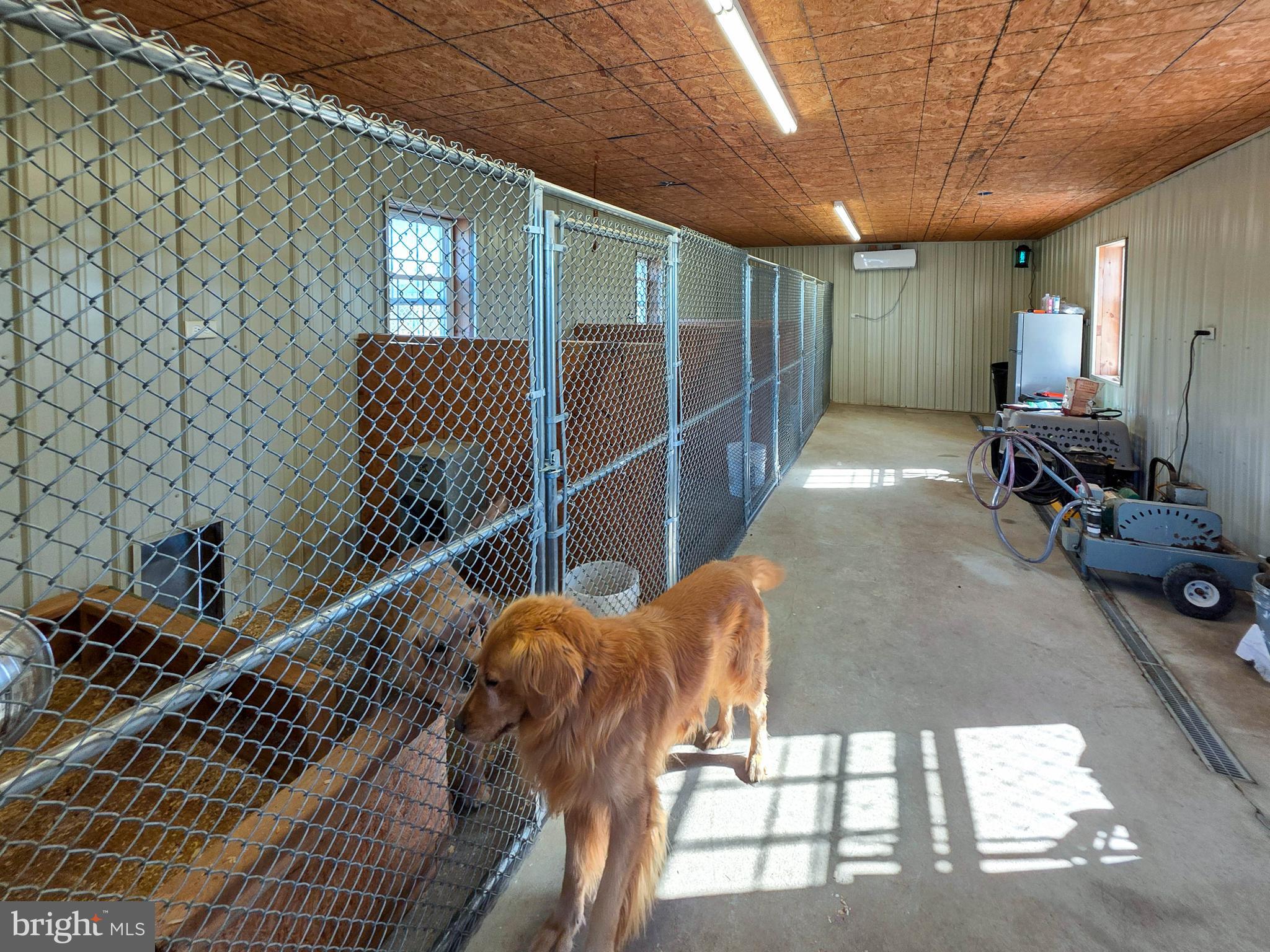 14637 Bain Road Hancock, MD 21750 - Photo 57 of 109 Inside Kennel