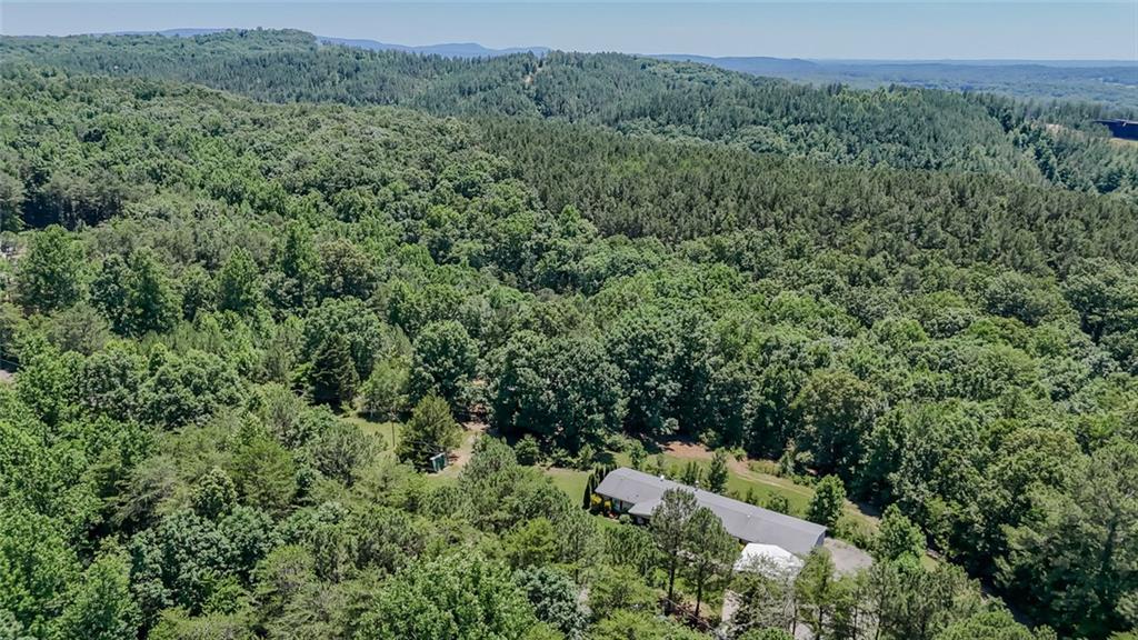 1575 Davis Road West Fairmount, GA 30139 - Photo 5 of 41