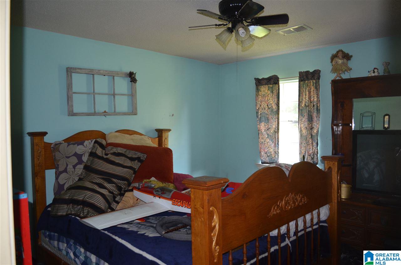 1032 Pearl Lake Road Springville, AL 35146 - Photo 9 of 13