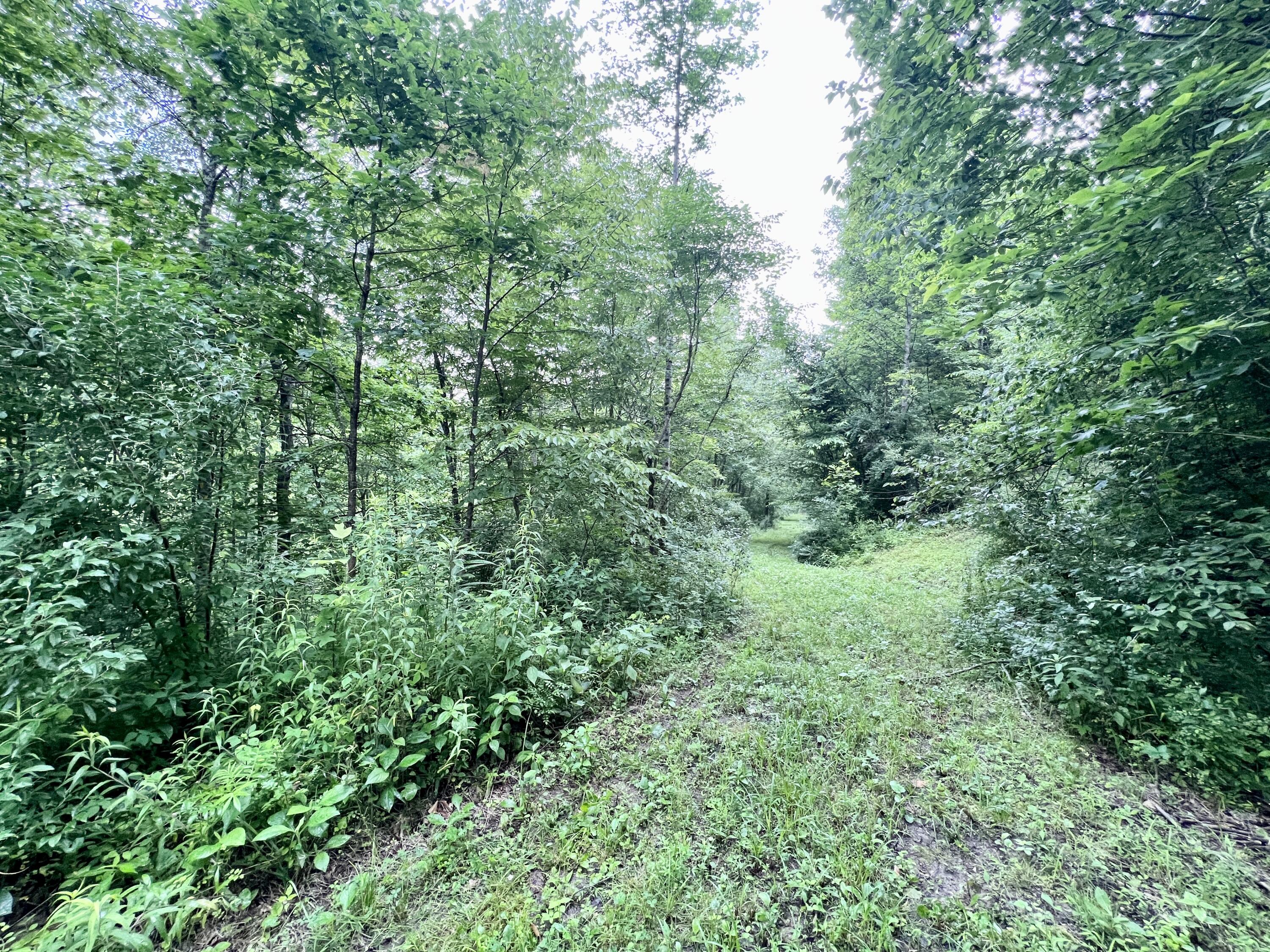 0 Fannin-Roscoe Road Sandy Hook, KY 41171 - Photo 3 of 15 IMG_9212