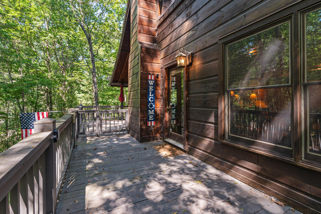 63 Bushy Head Road Cherry Log, GA 30522 - Photo 3 of 42 Gallery Image 3